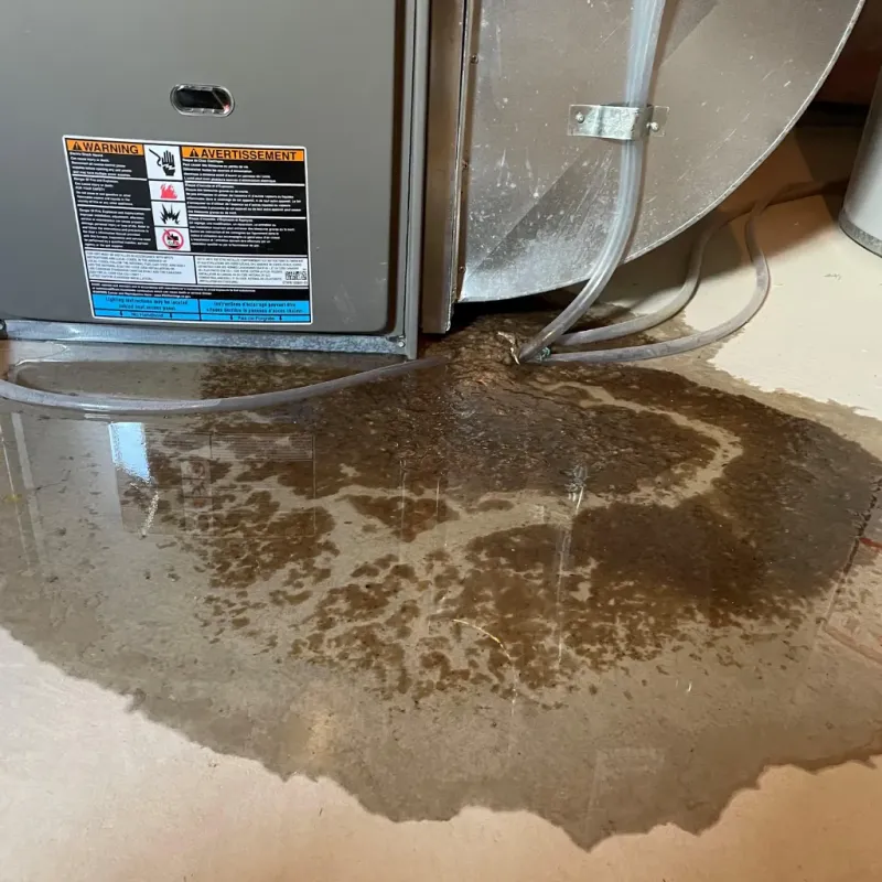 Appliance Leak Cleanup in Harrisville, WV