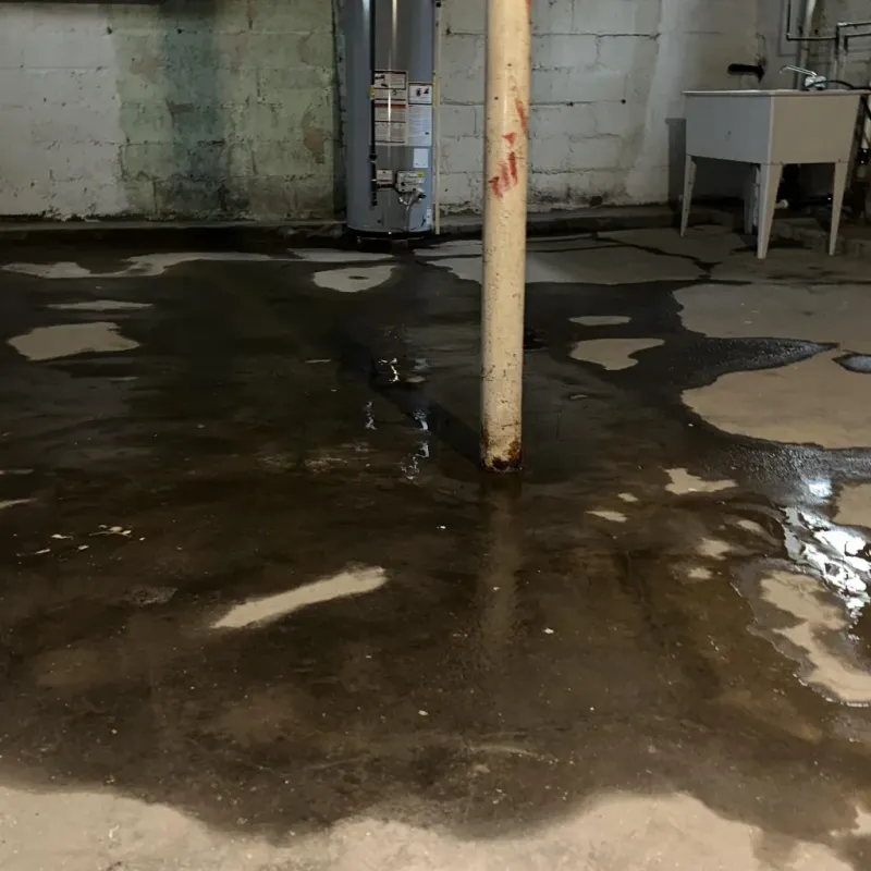 Emergency Water Extraction And Removal in Harrisville, WV